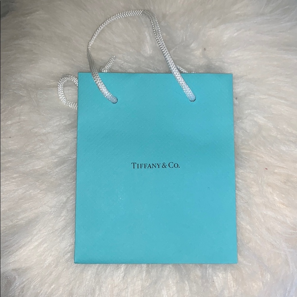 tiffany & co. bag - Picture 1 of 2
